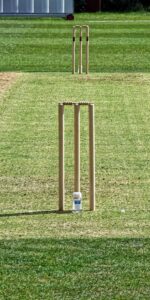 A batter defending the stumps in cricket